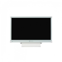 Monitor medyczny 22