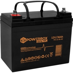 Akumulator AGM bezobsługowy TPL 12V 36Ah-42869